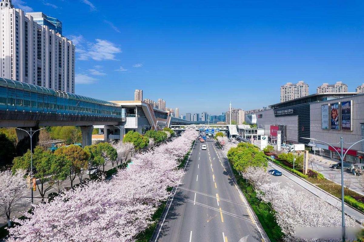 2024年6月社旗县泰山路护肤美容院,社旗泰山路社区居委会电话